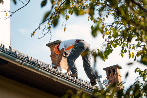 Best Gutter Installation and Roofing  in Le Claire, IA