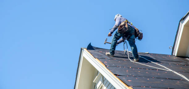 Best Sealant for Roof  in Le Claire, IA